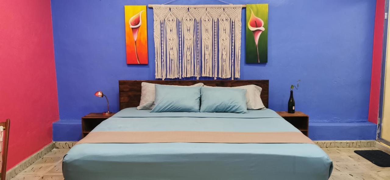 Centrico Y Encantador Apartamento Angielin Lägenhet Valladolid  Exteriör bild